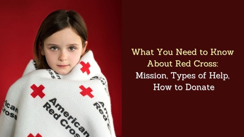 What You Need to Know About Red Cross Mission, Types of Help, How to Donate